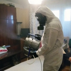 Дезинфекция от клопов в Северодвинске