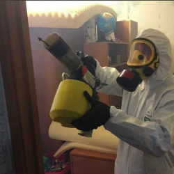 Уничтожение клопов в квартире. Северодвинск